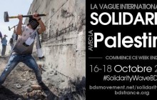 Rassemblements en soutien à la Palestine !