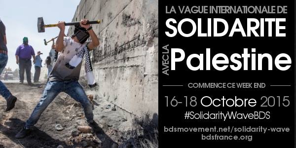 Rassemblements en soutien à la Palestine !