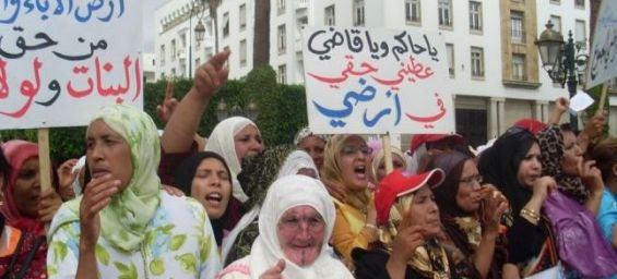 Soulaliyate women shocked by the egregious violation of law  in Rhaouna - Sidi Yahya Lgherb