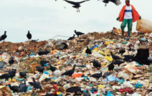 2.500 tonnes d’ordures d’Italie sont arrivées à Casa