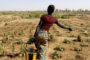 Grande conférence : De l’Afrique aux Amériques, les femmes luttent pour leurs droits