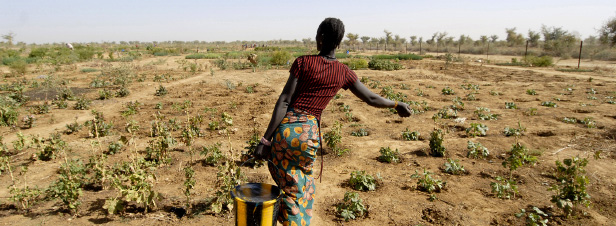 Journée d’étude sur le thème : Crise de l’eau, changements climatiques et migration