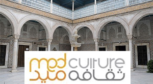 التعليم العالي في مجال السياسات والإدارة الثقافية بمنطقة جنوب المتوسط