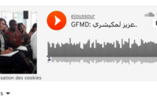 GFMDعزيز لمكيشري : محطات المنتدى الاجتماعي حول الهجرة ، أرضية اشتغال نحو