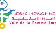 جمعية صوت المرأة الأمازيغية تنظم سلسلة من اللقاءات التفاعلية والترافعية تجمع بين االنساء الأمازيغيات وبين المنتخبات والمنتخبون